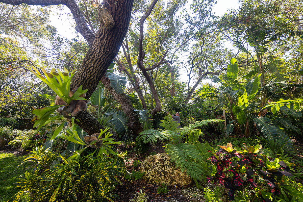 A Florida home framed by a balanced tropical landscape