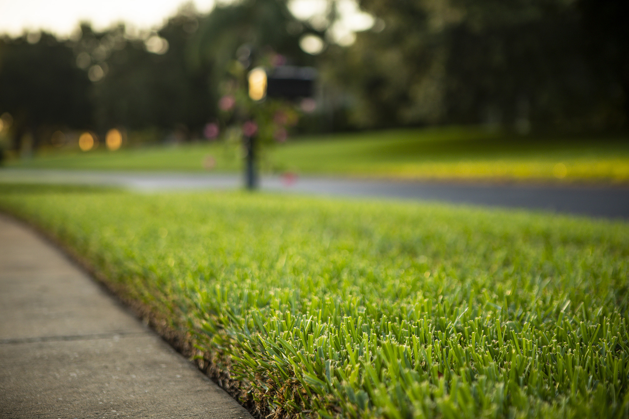 Florida professionals coordinating outdoor project details